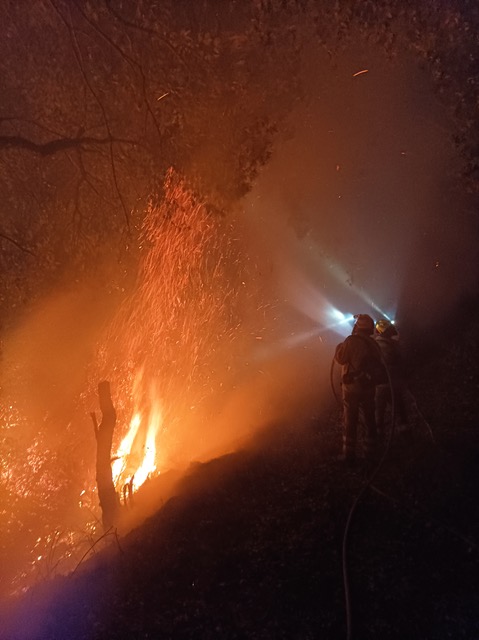 “I understand that people want to help, but specialists are needed to put out forest fires.” Photo © Isa Moreno/INFOCA